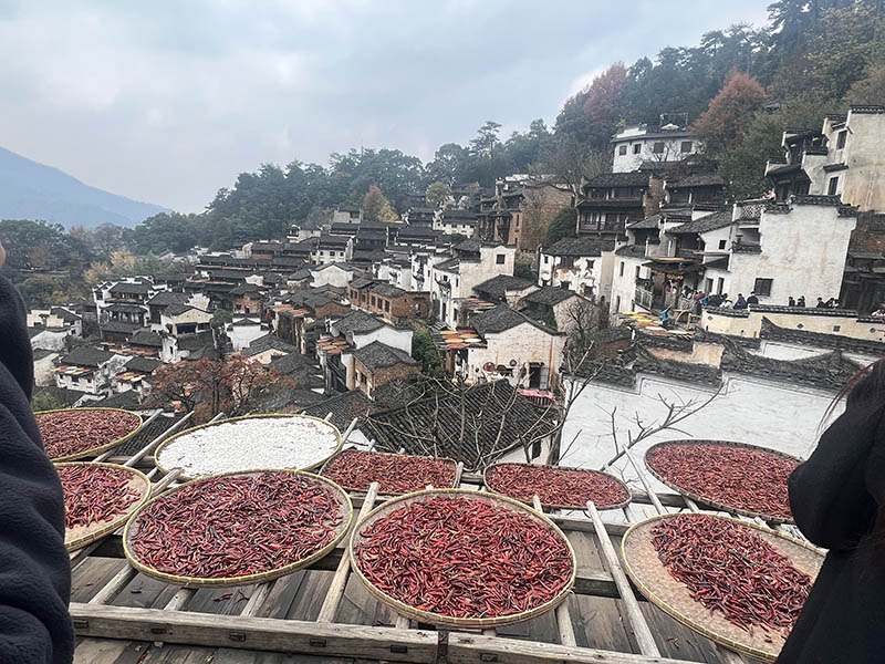 folk customs of drying autumn leaves